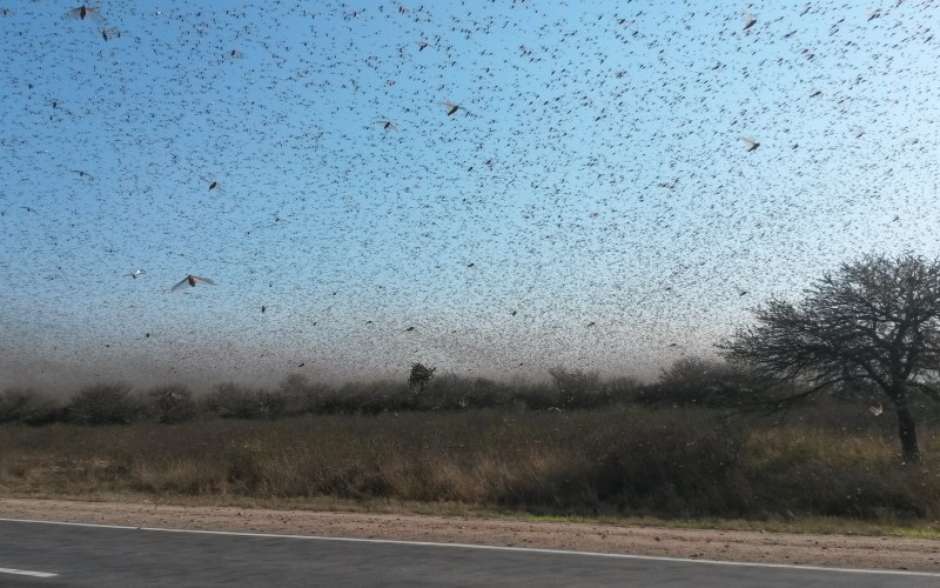 Uma das maiores invasões que chegou a aparecer no radar