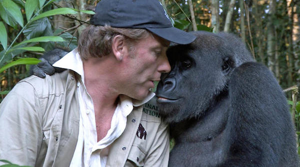 homem e gorila