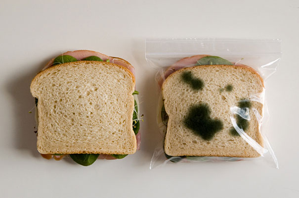 sacola de sanduiche anti roubo