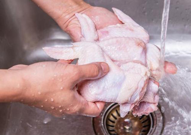 lavando frango galinha