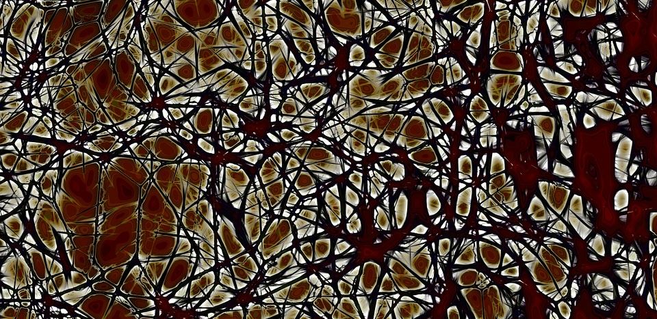 neuronios