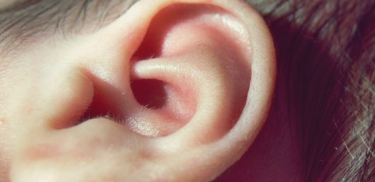 02-orelha-ouvido