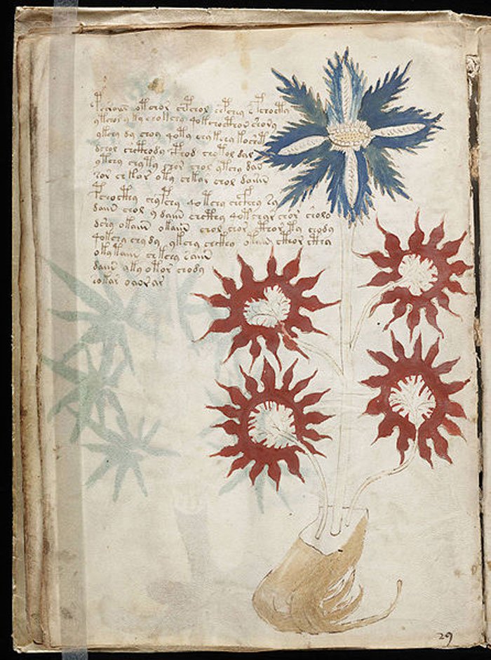 manuscrito-voynich