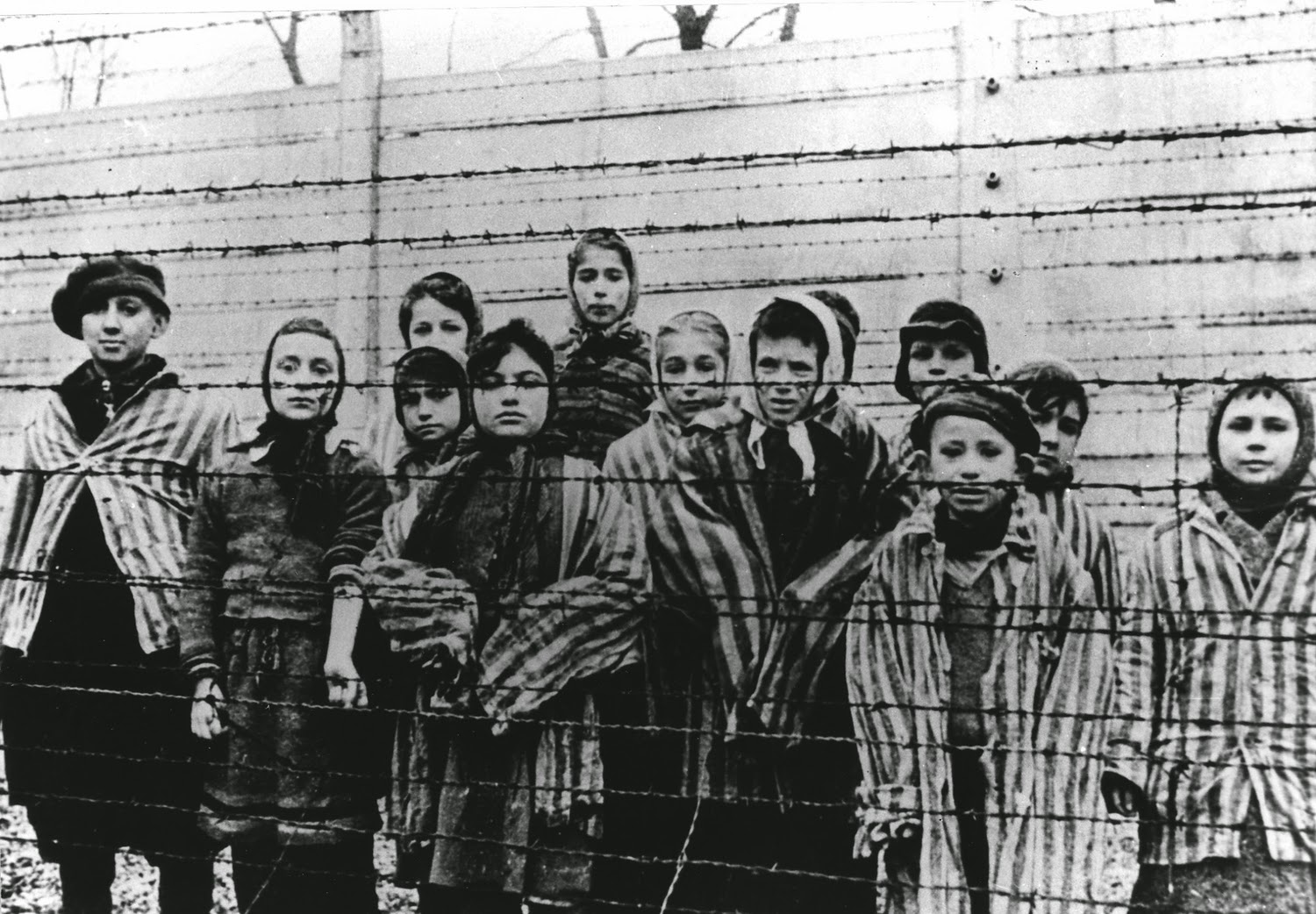 Resultado de imagem para Holocausto
