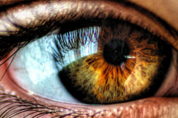 pupilas cegueira diagnóstico errado
