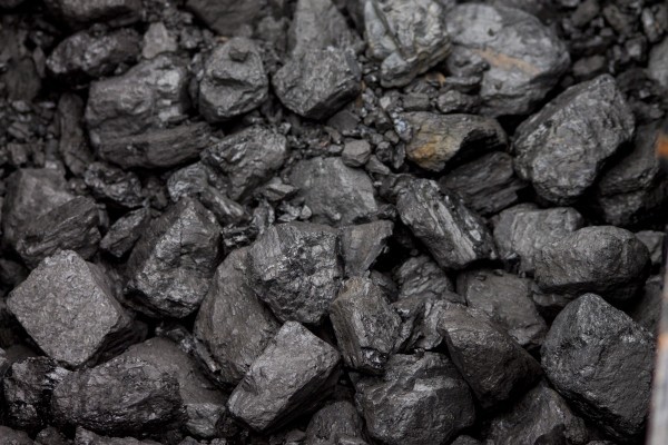 coal-cabbage-burned-fuel-black-anthracite