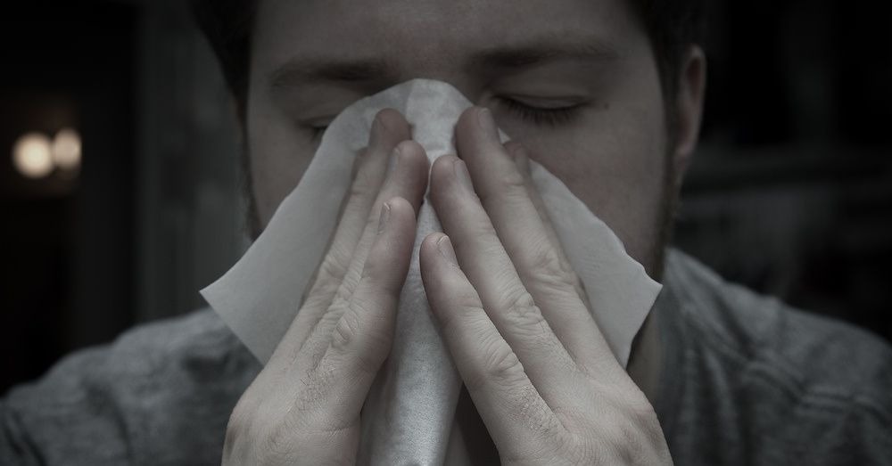 gripe-nariz entupido capa