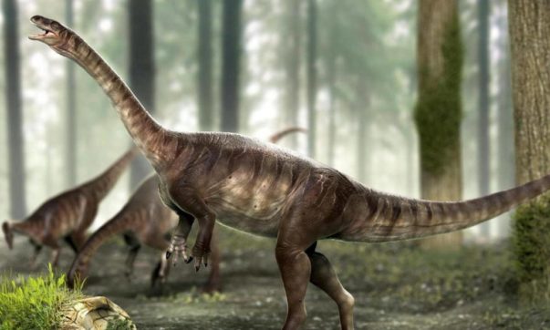 dinossauro