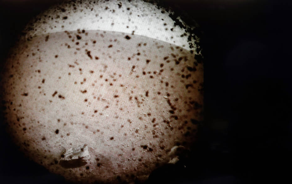 Primeira foto da sonda em Marte