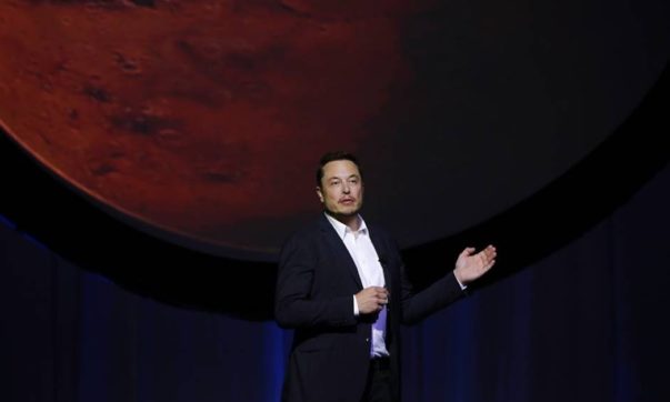 elon musk