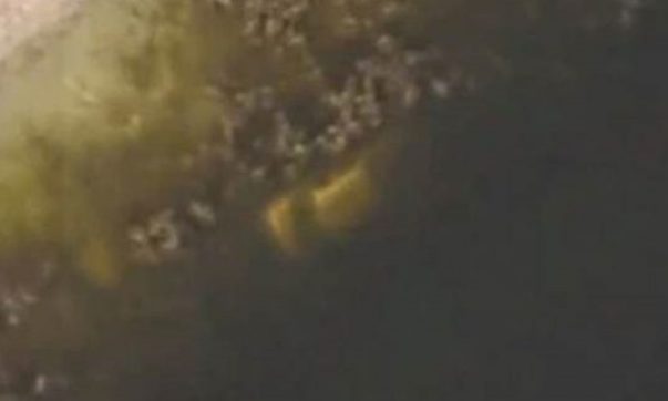 google earth