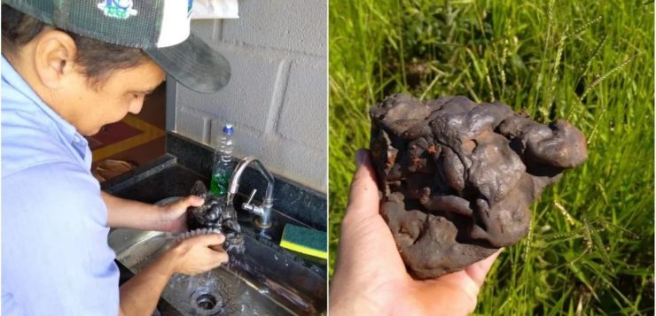 Homem viraliza após encontrar e lavar ‘pedaço de meteoro’ com escova e detergente