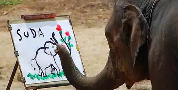 elefante-desenhista