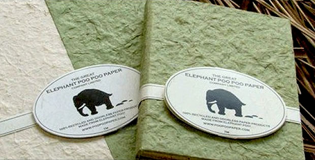 papel-de-coco-elefante
